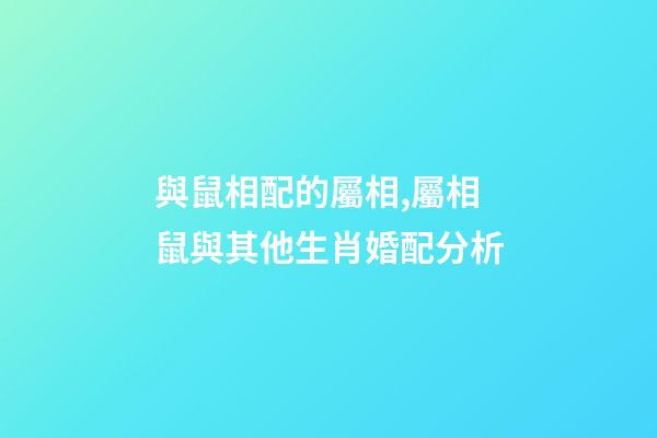 與鼠相配的屬相,屬相鼠與其他生肖婚配分析-第1張-觀點-玄機派