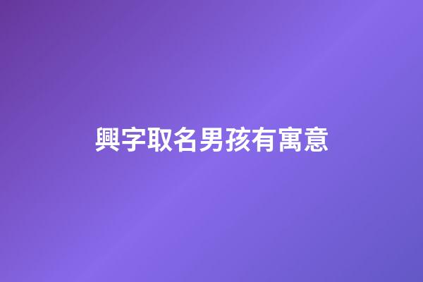 興字取名男孩有寓意(興字男孩兒名字大全)-第1張-男孩起名-玄機派