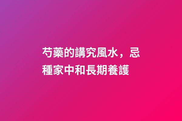 芍藥的講究風水，忌種家中和長期養護