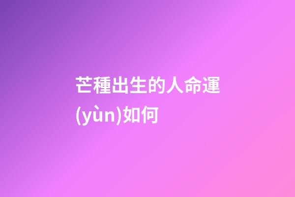 芒種出生的人命運(yùn)如何
