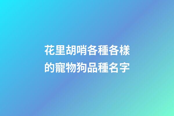 花里胡哨各種各樣的寵物狗品種名字