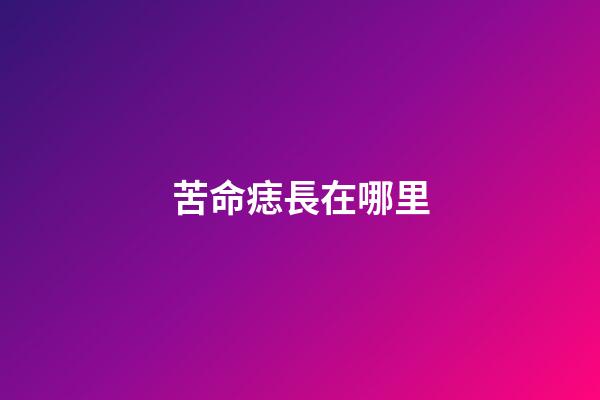 苦命痣長在哪里