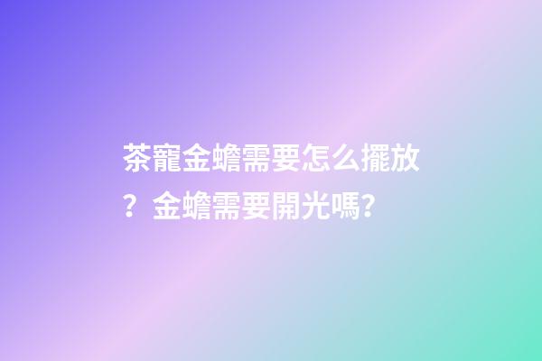 茶寵金蟾需要怎么擺放？金蟾需要開光嗎？