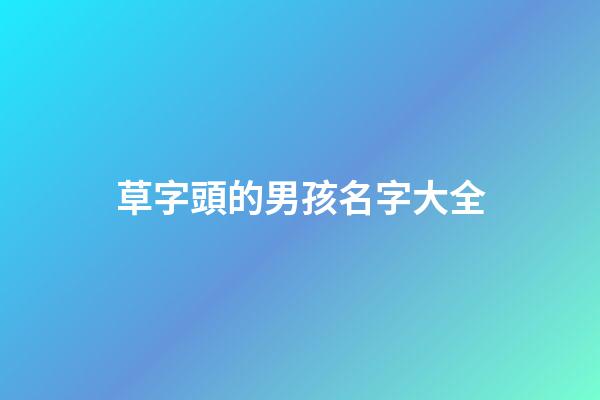 草字頭的男孩名字大全