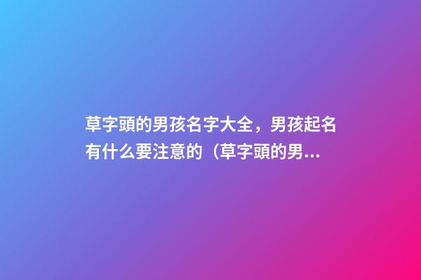 草字頭的男孩名字大全，男孩起名有什么要注意的（草字頭的男孩名字大全,男孩起名有什么要注意的嗎）