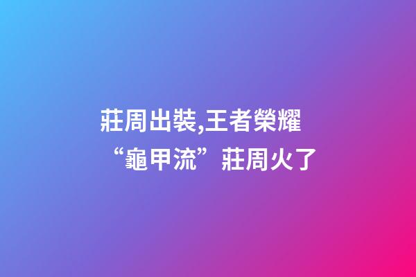 莊周出裝,王者榮耀“龜甲流”莊周火了-第1張-觀點-玄機派