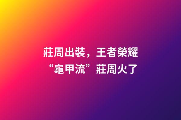 莊周出裝，王者榮耀“龜甲流”莊周火了-第1張-觀點-玄機派