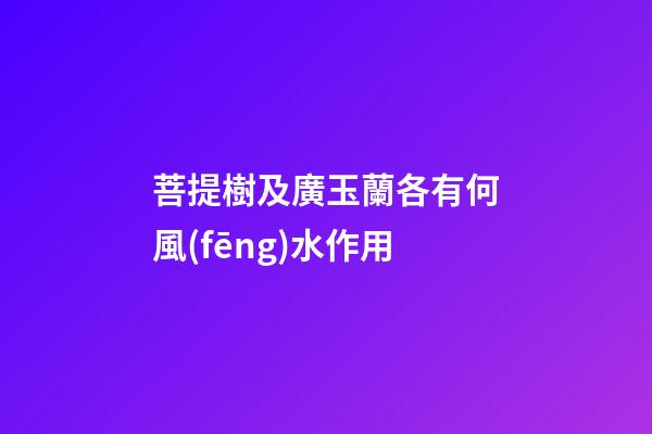 菩提樹及廣玉蘭各有何風(fēng)水作用?