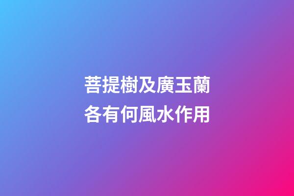 菩提樹及廣玉蘭各有何風水作用?