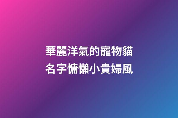 華麗洋氣的寵物貓名字慵懶小貴婦風