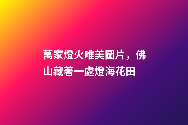 萬家燈火唯美圖片，佛山藏著一處燈海花田-第1張-觀點-玄機派