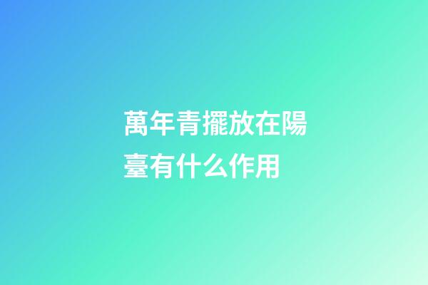 萬年青擺放在陽臺有什么作用