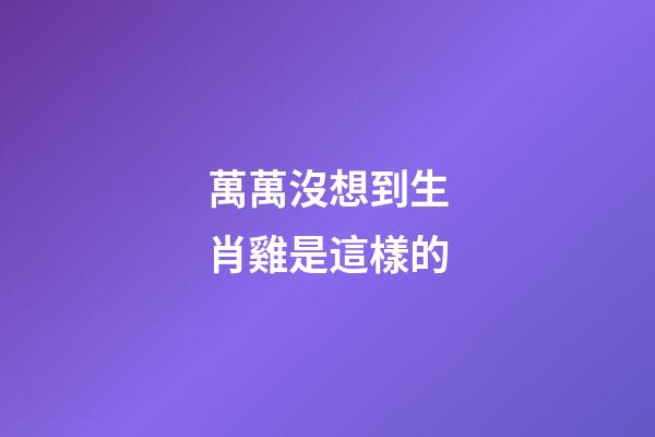 萬萬沒想到生肖雞是這樣的