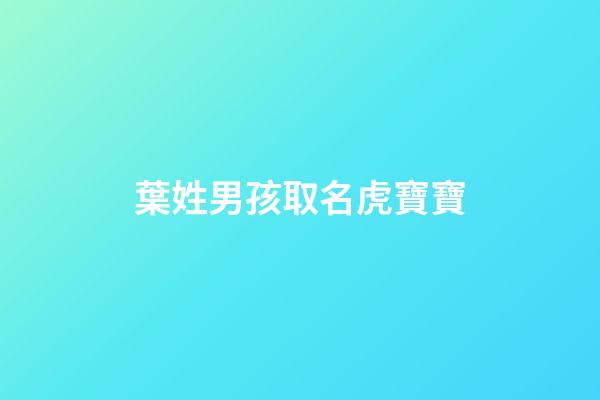 葉姓男孩取名虎寶寶(葉姓男孩取名虎寶寶簡單好聽)-第1張-男孩起名-玄機派
