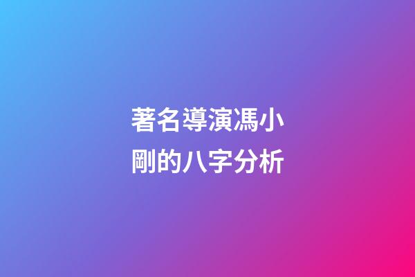 著名導演馮小剛的八字分析