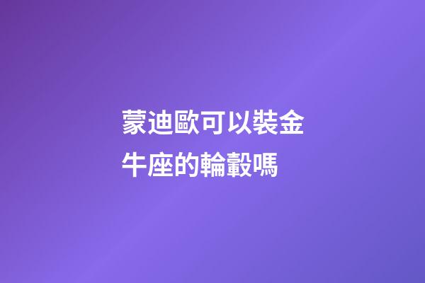 蒙迪歐可以裝金牛座的輪轂嗎