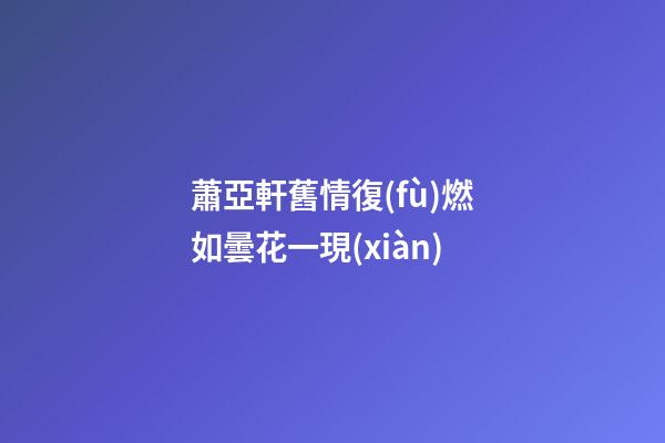 蕭亞軒舊情復(fù)燃如曇花一現(xiàn)