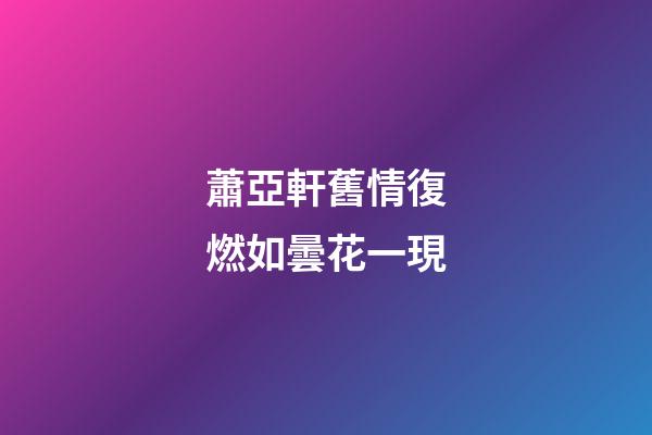 蕭亞軒舊情復燃如曇花一現