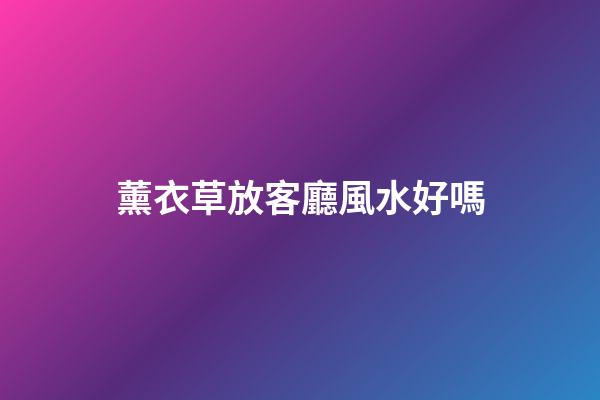 薰衣草放客廳風水好嗎
