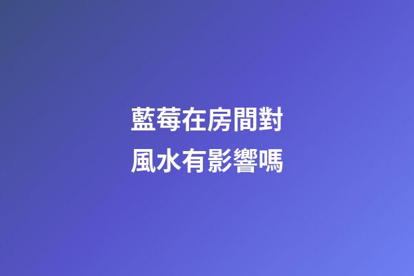 藍莓在房間對風水有影響嗎