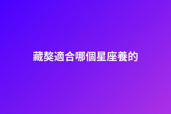 藏獒適合哪個星座養的