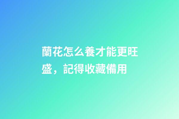 蘭花怎么養才能更旺盛，記得收藏備用-第1張-觀點-玄機派