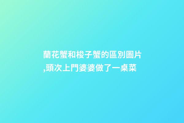 蘭花蟹和梭子蟹的區別圖片,頭次上門婆婆做了一桌菜-第1張-觀點-玄機派