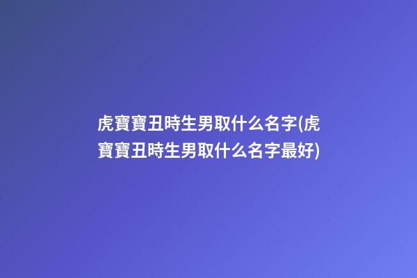 虎寶寶丑時生男取什么名字(虎寶寶丑時生男取什么名字最好)