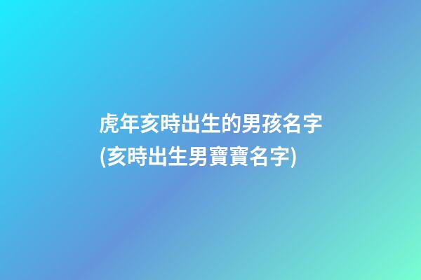 虎年亥時出生的男孩名字(亥時出生男寶寶名字)