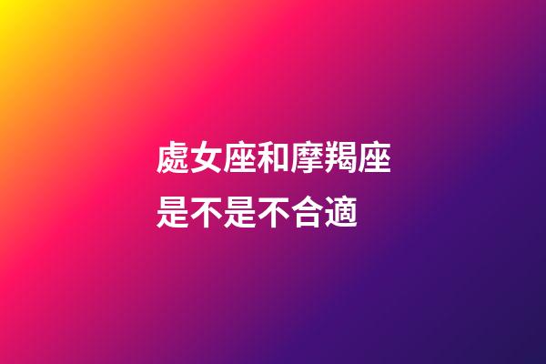 處女座和摩羯座是不是不合適-第1張-星座運勢-玄機派