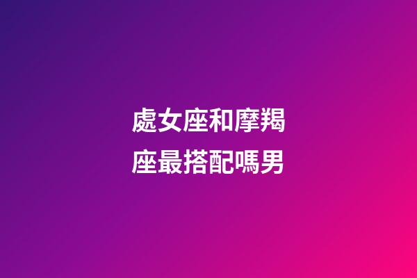 處女座和摩羯座最搭配嗎男-第1張-星座運勢-玄機派