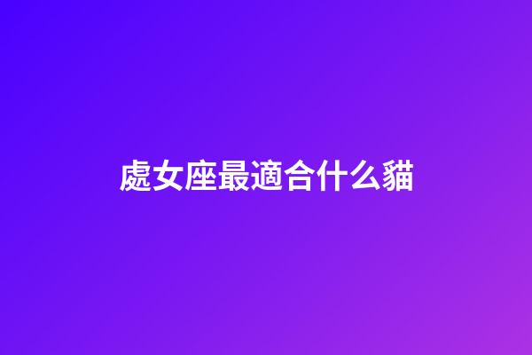 處女座最適合什么貓-第1張-星座運勢-玄機派