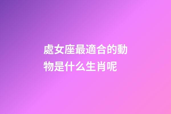 處女座最適合的動物是什么生肖呢-第1張-星座運勢-玄機派