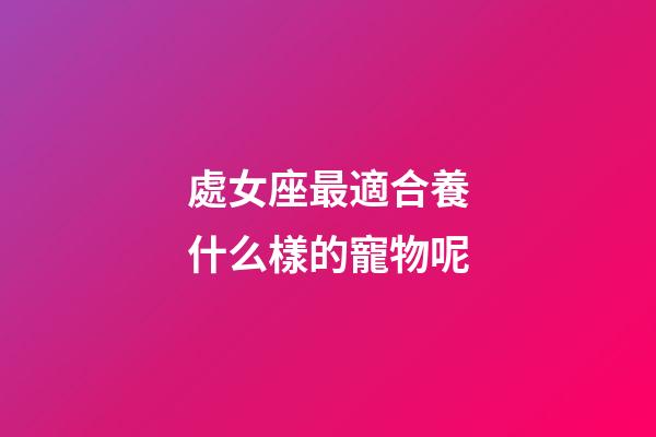 處女座最適合養什么樣的寵物呢-第1張-星座運勢-玄機派