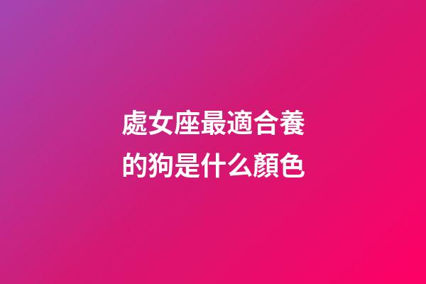 處女座最適合養的狗是什么顏色-第1張-星座運勢-玄機派