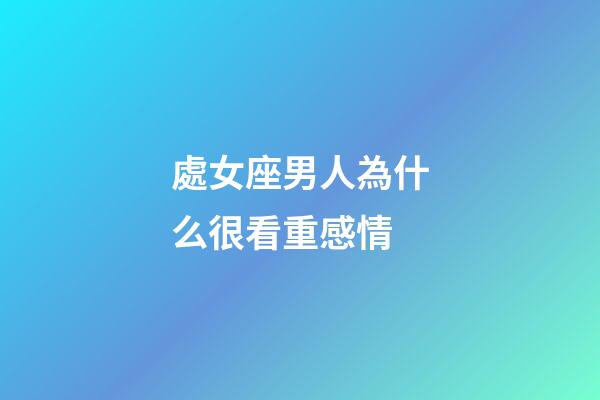 處女座男人為什么很看重感情-第1張-星座運勢-玄機派
