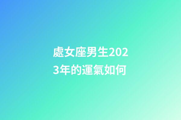 處女座男生2023年的運氣如何-第1張-星座運勢-玄機派
