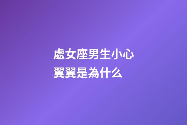 處女座男生小心翼翼是為什么-第1張-星座運勢-玄機派