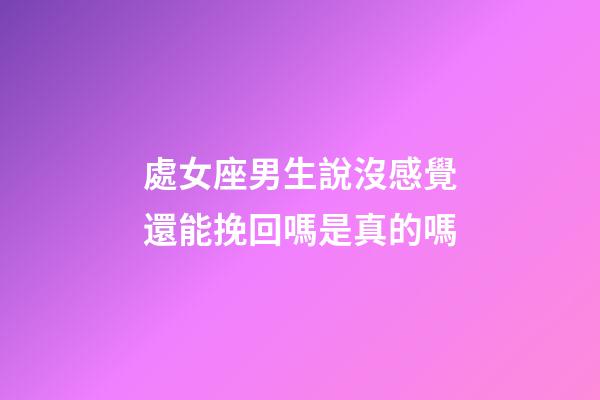 處女座男生說沒感覺還能挽回嗎是真的嗎-第1張-星座運勢-玄機派