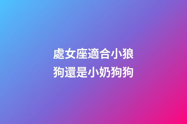 處女座適合小狼狗還是小奶狗狗-第1張-星座運勢-玄機派