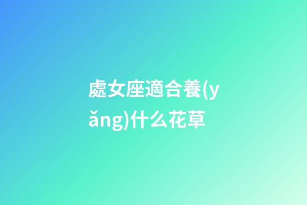 處女座適合養(yǎng)什么花草-第1張-星座運(yùn)勢-玄機(jī)派