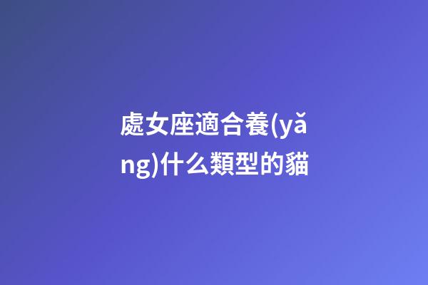 處女座適合養(yǎng)什么類型的貓-第1張-星座運(yùn)勢(shì)-玄機(jī)派