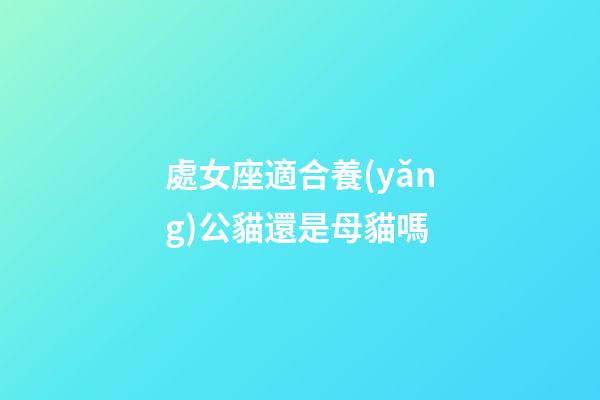 處女座適合養(yǎng)公貓還是母貓嗎
