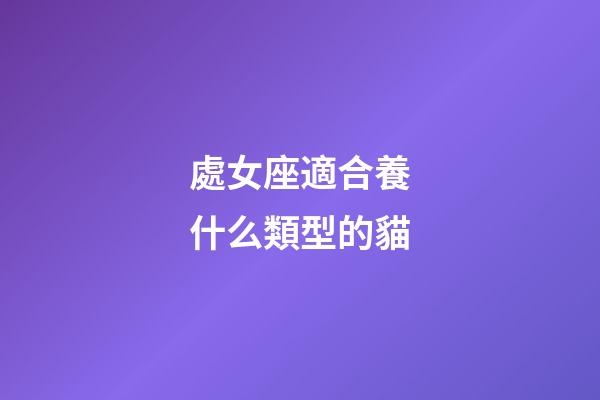 處女座適合養什么類型的貓