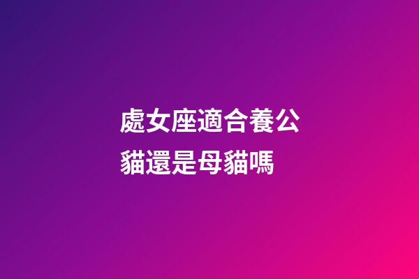 處女座適合養公貓還是母貓嗎