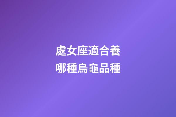 處女座適合養哪種烏龜品種-第1張-星座運勢-玄機派