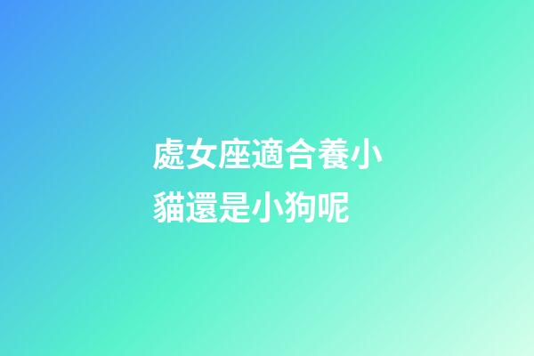 處女座適合養小貓還是小狗呢-第1張-星座運勢-玄機派