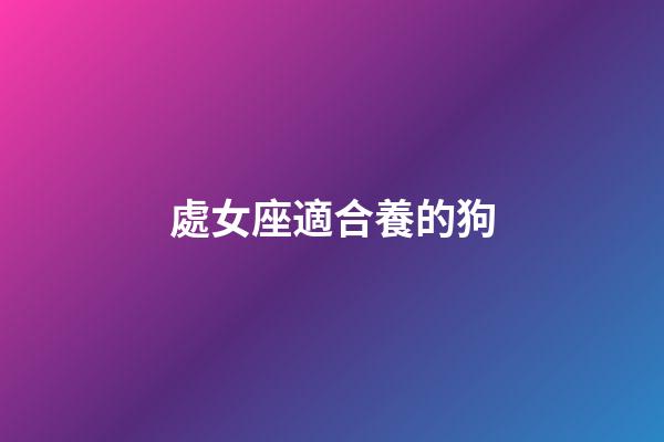 處女座適合養的狗-第1張-星座運勢-玄機派