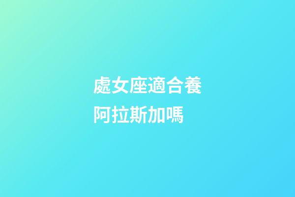 處女座適合養阿拉斯加嗎