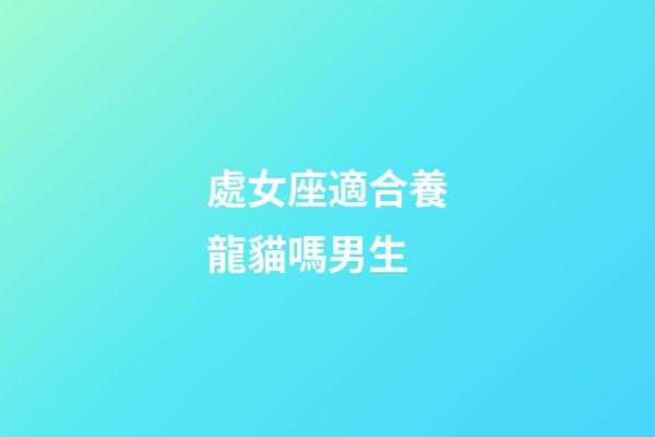 處女座適合養龍貓嗎男生